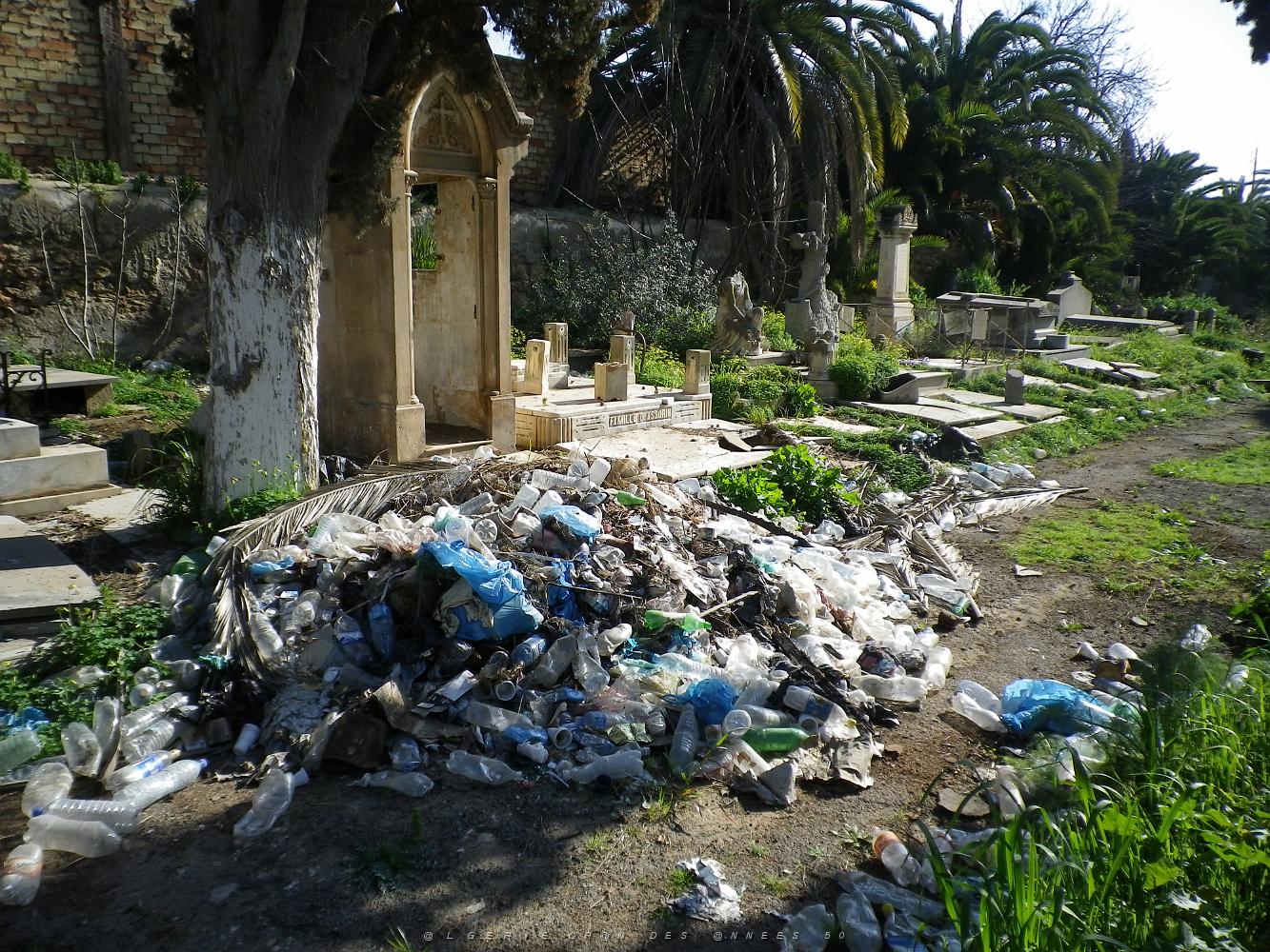 CIMETIERE DE TAMAZOUHET D ORAN EN MARS 2012  (69).JPG